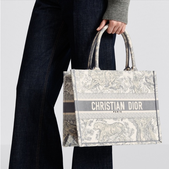Christian Dior Medium Book Tote - Picture 1 of 4